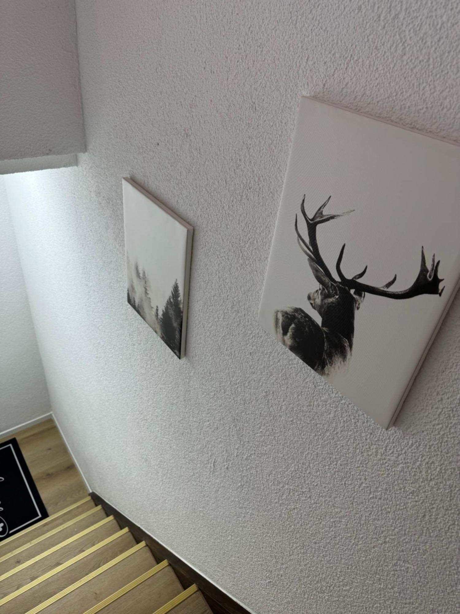 Appartamento Dachgeschosstraum Freudenstadt Esterno foto